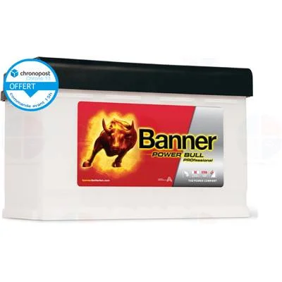 achatbatterie4888382