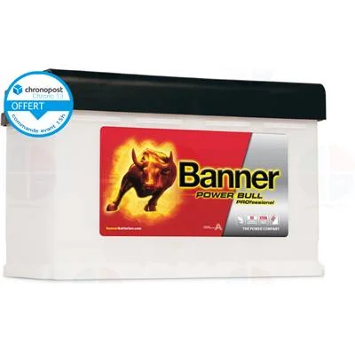 achatbatterie4888435