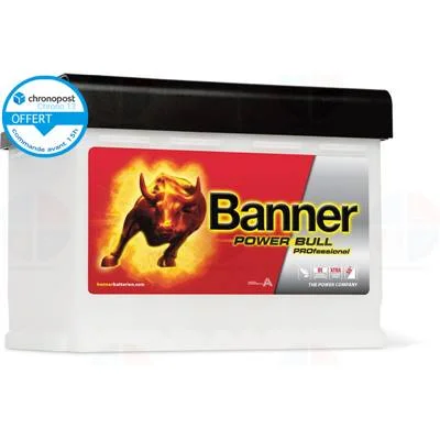 achatbatterie4888453