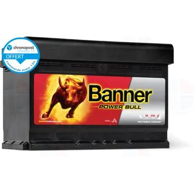 achatbatterie4888591