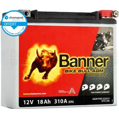 achatbatterie4896651