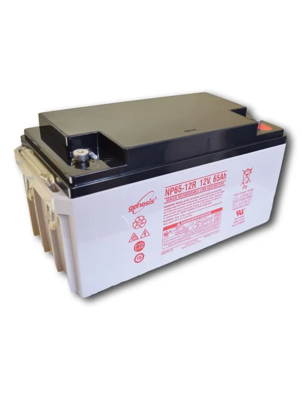 mister-battery4884579